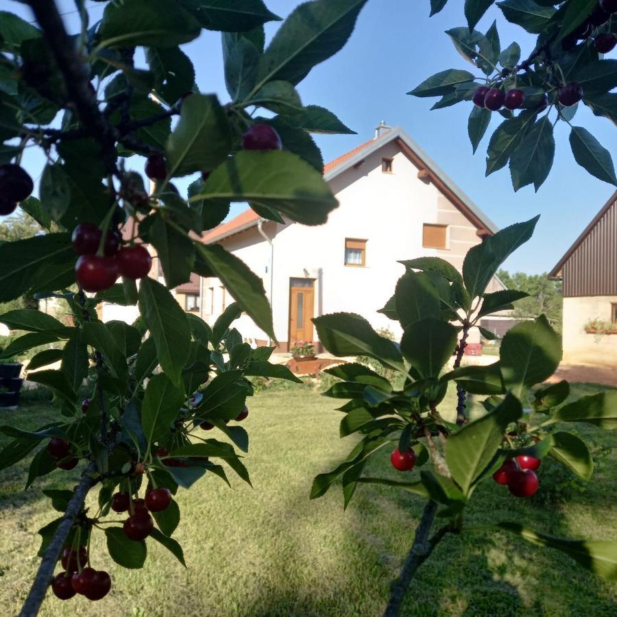 Villa Kuca Za Odmor Boki Gospić Exterior foto