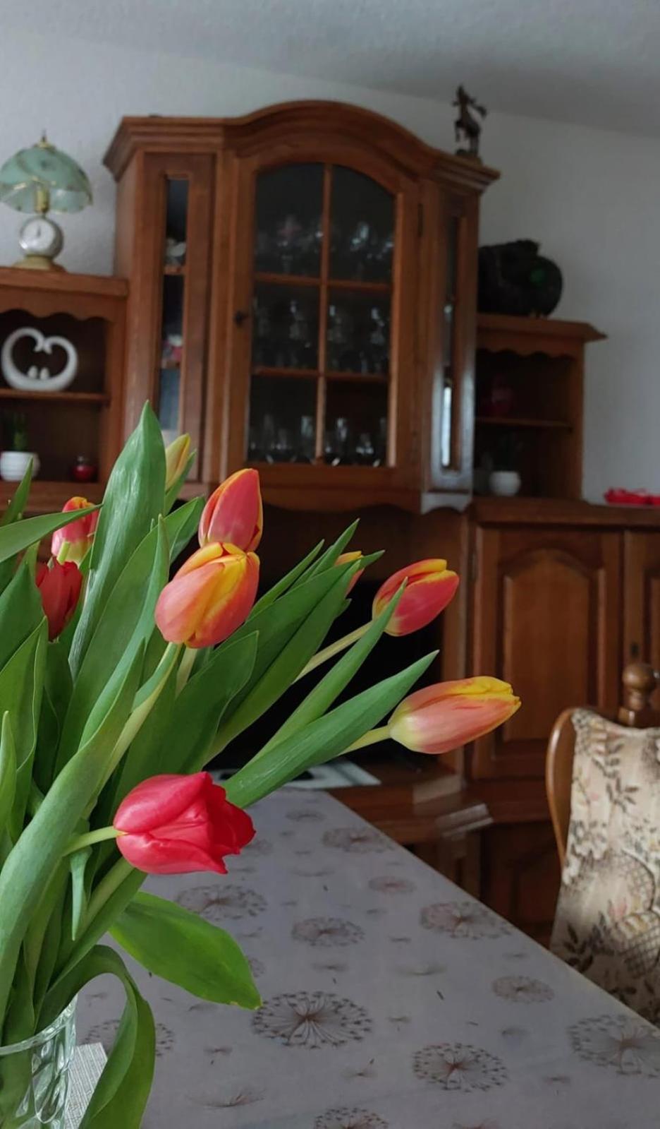 Villa Kuca Za Odmor Boki Gospić Exterior foto